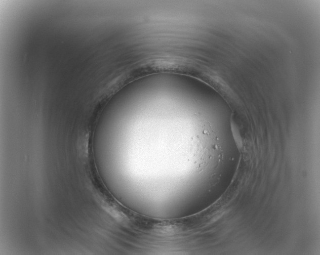 X0000069360454200605262003