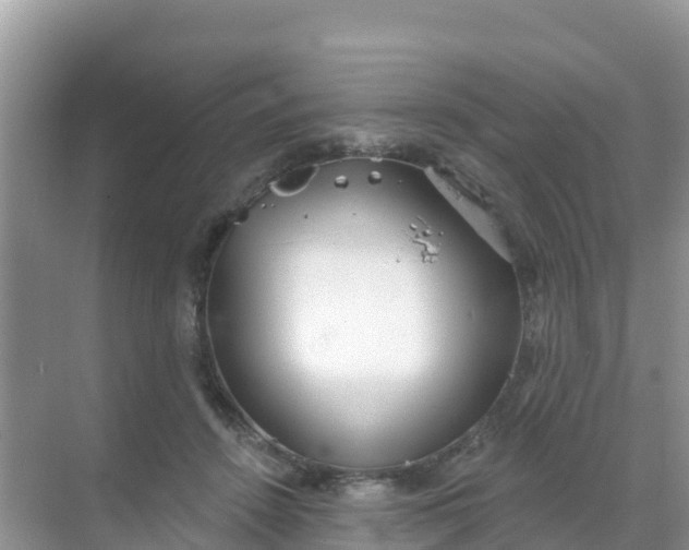 X0000069360456200605262003