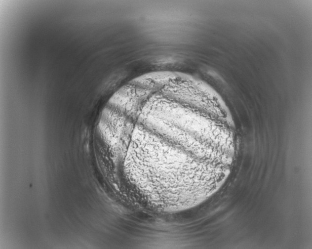 X0000069360458200605262003