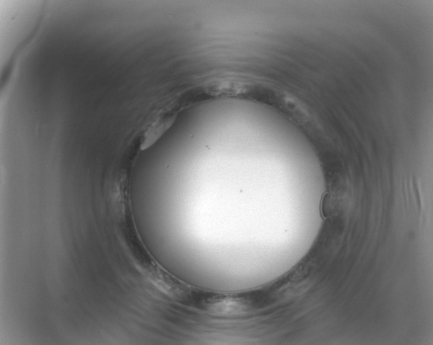 X0000069360460200605262003