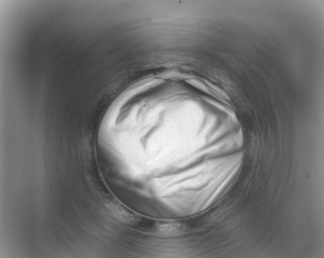 X0000069360461200605262003