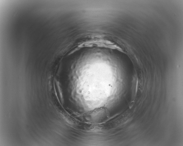 X0000069360462200605262003