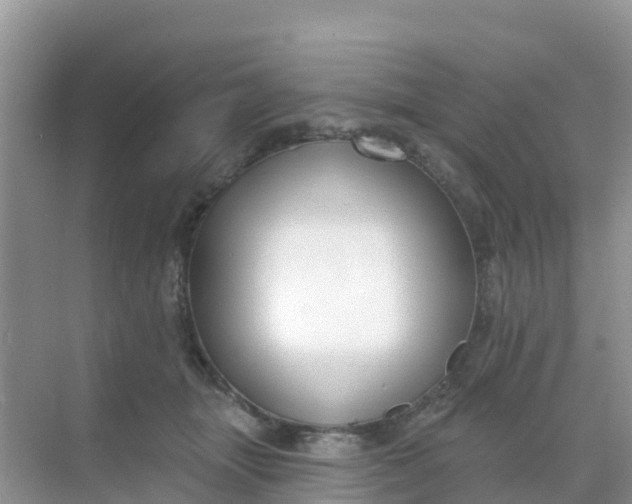 X0000069360463200605262003