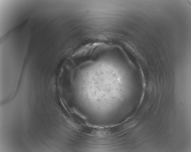 X0000069360466200605262003