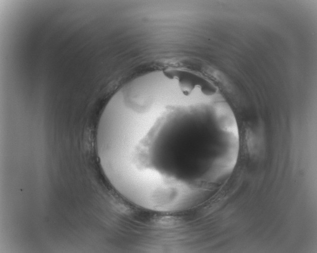 X0000069360467200605262003