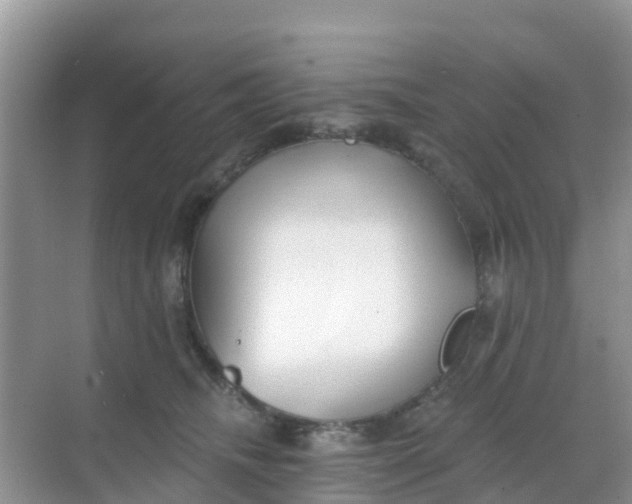 X0000069360468200605262003