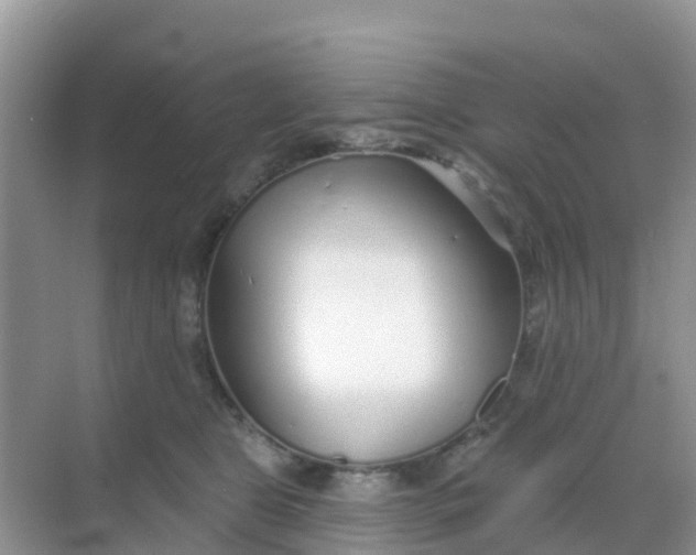 X0000069360469200605262003