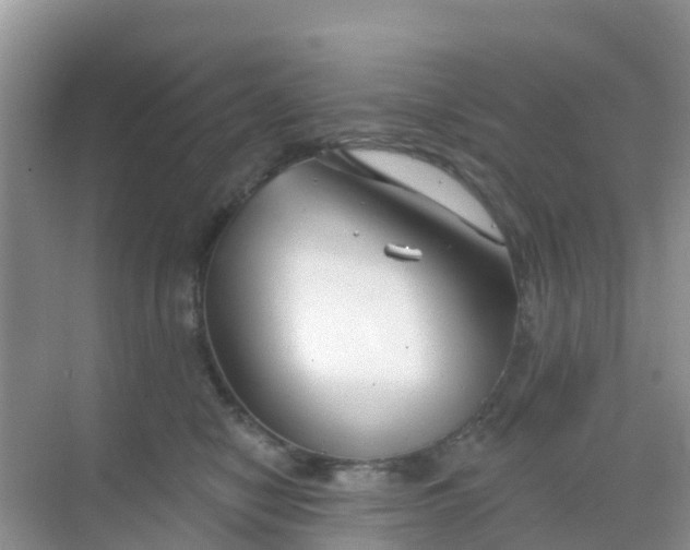 X0000069360470200605262003