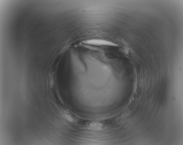 X0000069360471200605262003