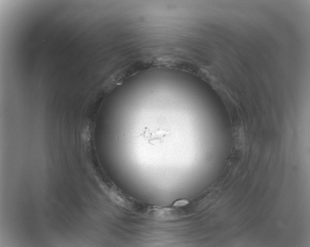 X0000069360472200605262003