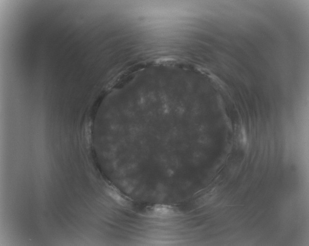 X0000069360475200605262003