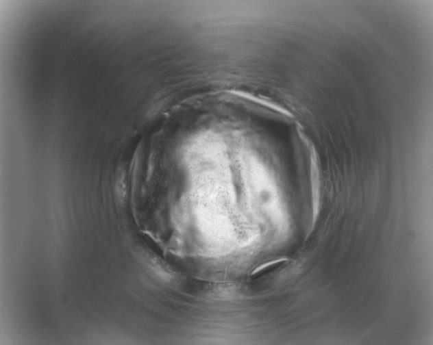 X0000069360479200605262003