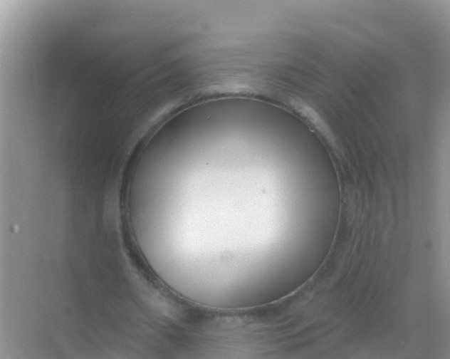 X0000069360482200605262002