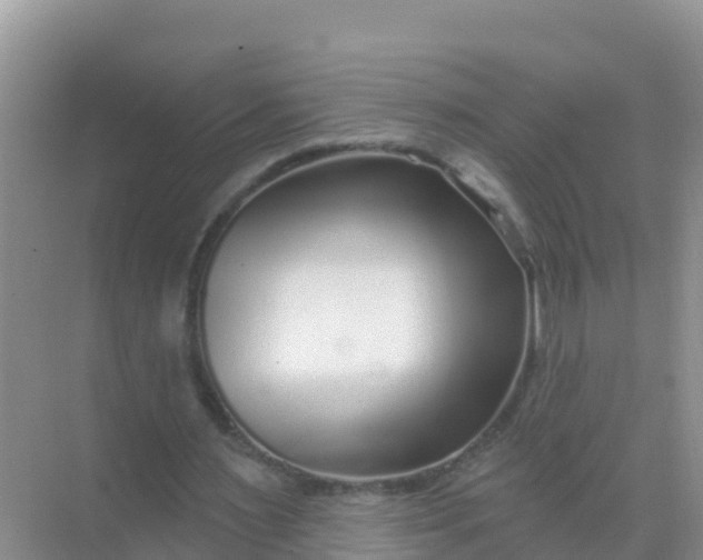 X0000069360483200605262002