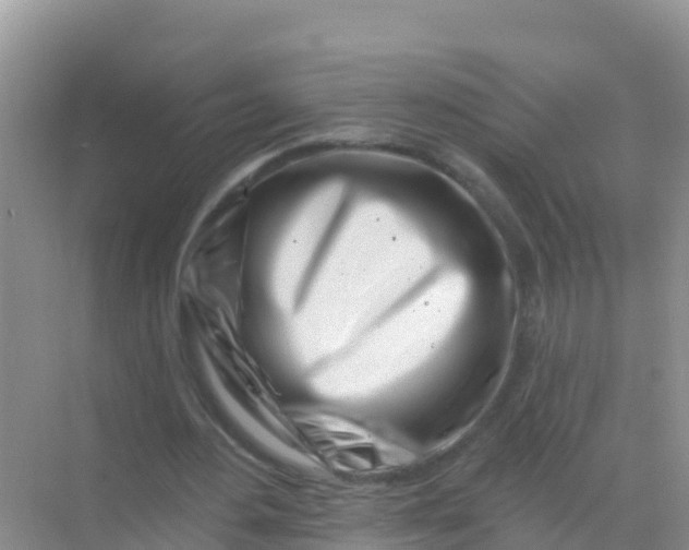 X0000069360484200605262002