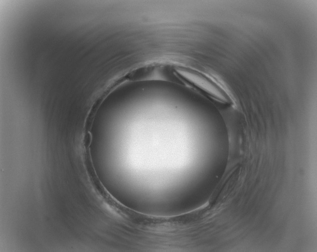 X0000069360485200605262002