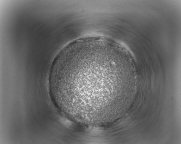 X0000069360487200605262002