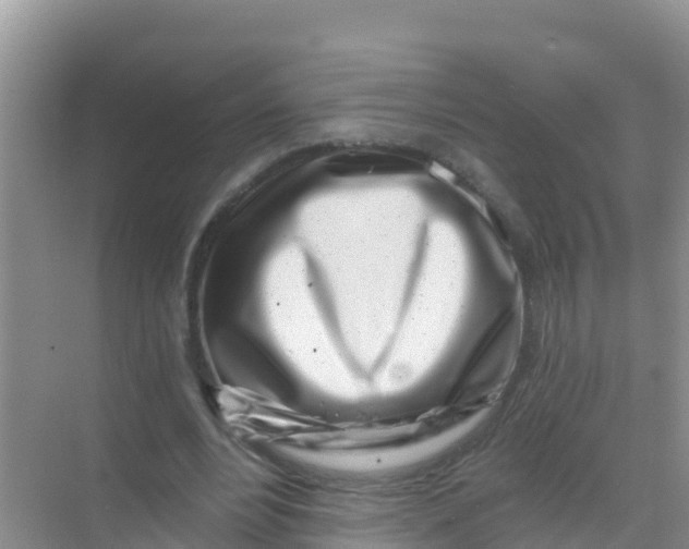 X0000069360488200605262002