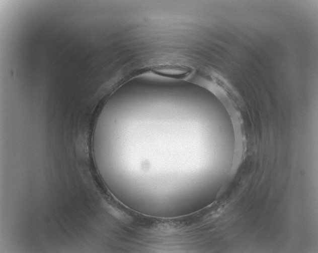 X0000069360489200605262002