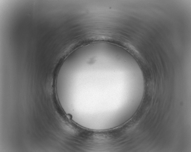 X0000069360490200605262002