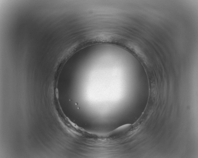 X0000069360493200605262002