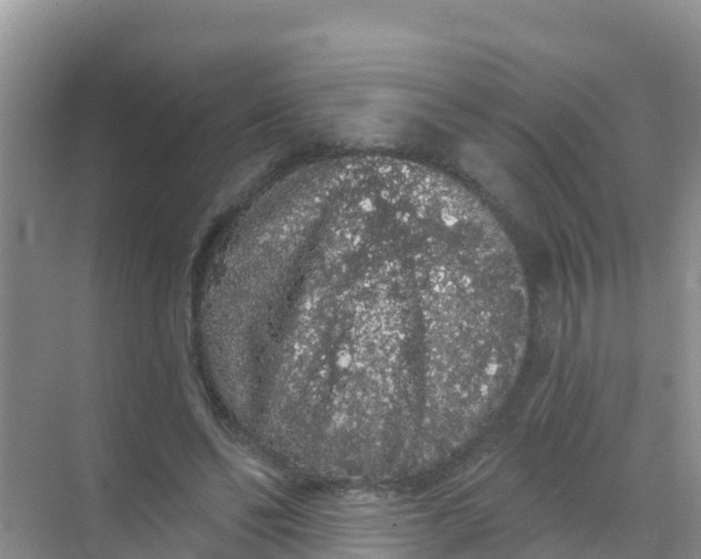 X0000069360494200605262002