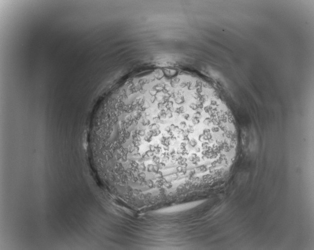 X0000069360495200605262002