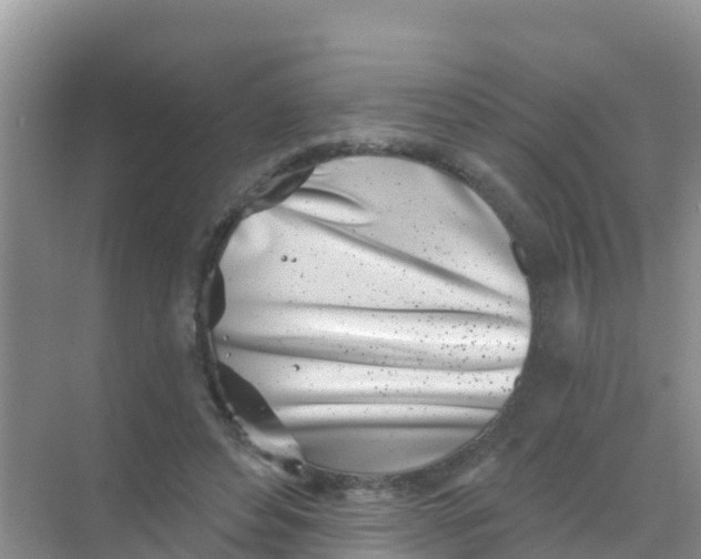 X0000069360496200605262002