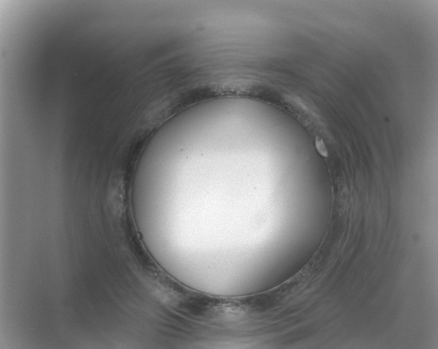 X0000069360498200605262002