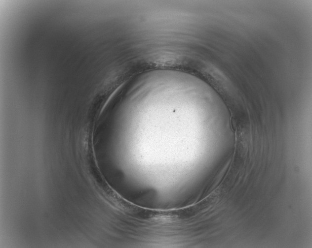 X0000069360499200605262002