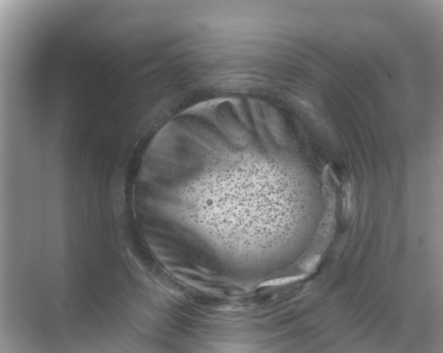 X0000069360504200605262002