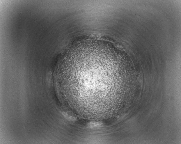 X0000069360511200605262002