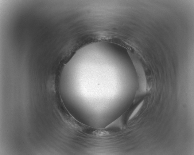 X0000069360512200605262002