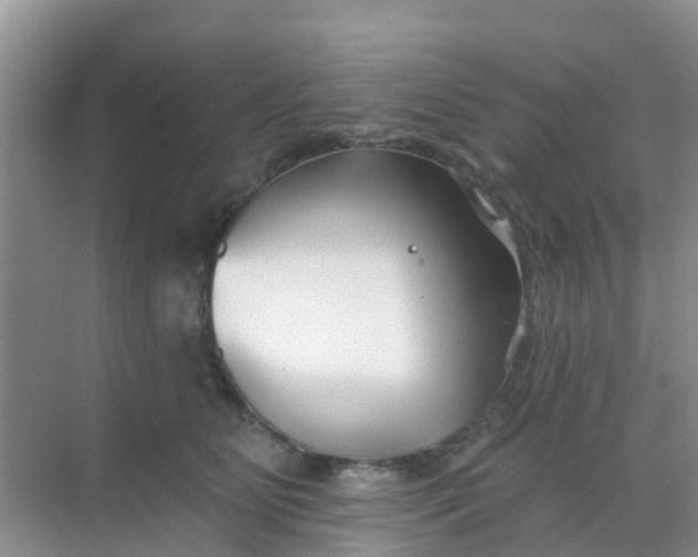 X0000069360515200605262002