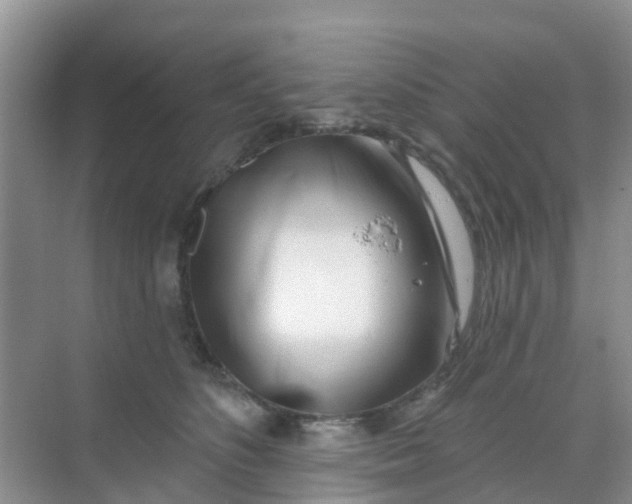 X0000069360516200605262002