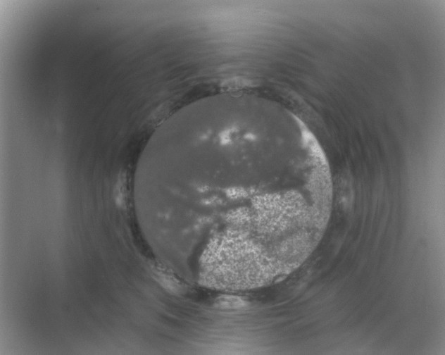 X0000069360519200605262002