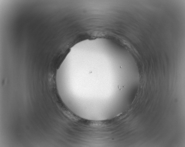 X0000069360521200605262002