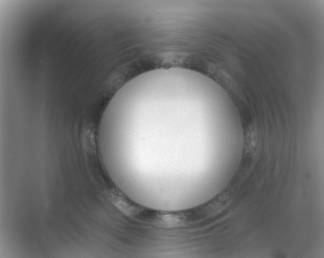 X0000069360522200605262002