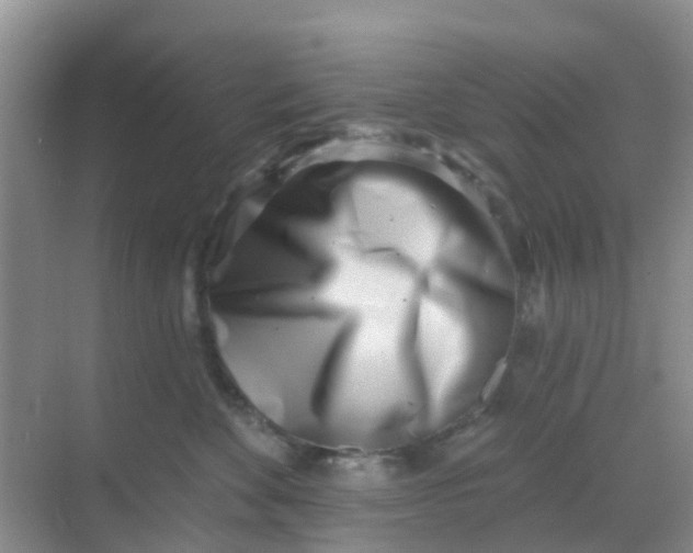 X0000069360524200605262002