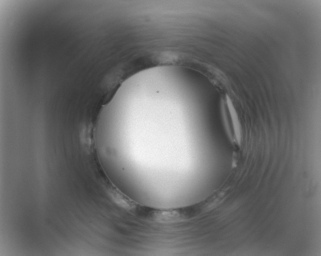 X0000069360525200605262002