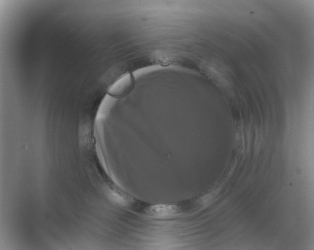 X0000069360526200605262002