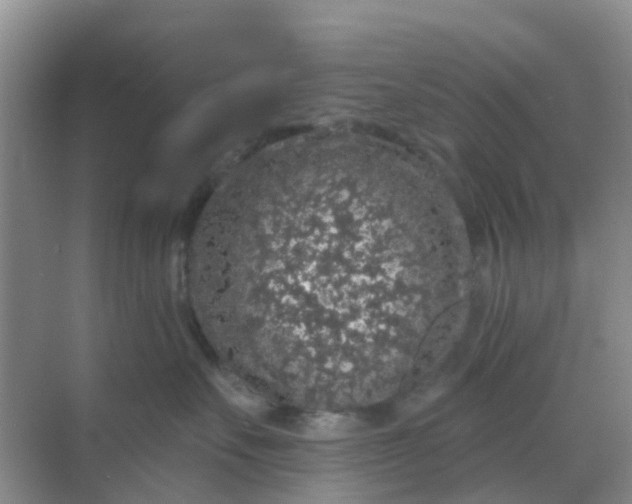 X0000069360527200605262002