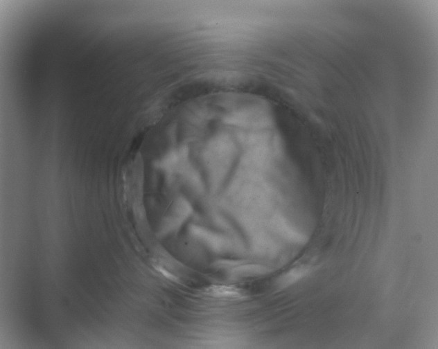 X0000069360528200605262002