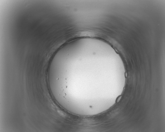 X0000069360529200605262001