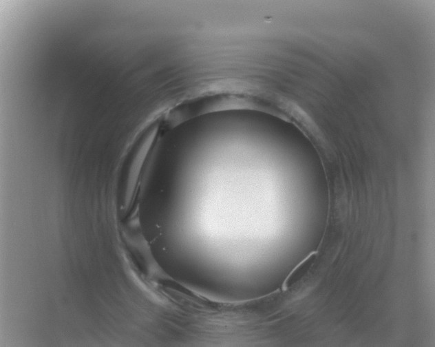 X0000069360530200605262001