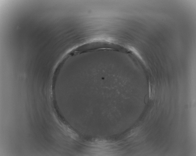 X0000069360531200605262001