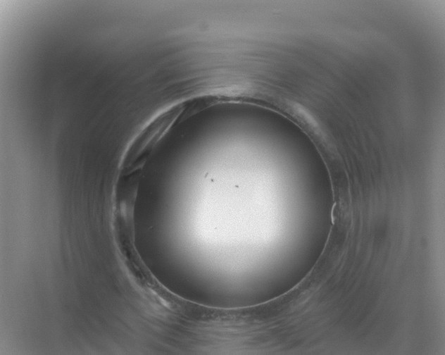 X0000069360532200605262001