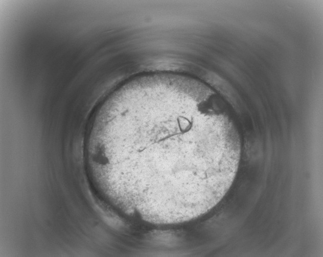 X0000069360534200605262001