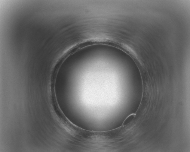 X0000069360535200605262001