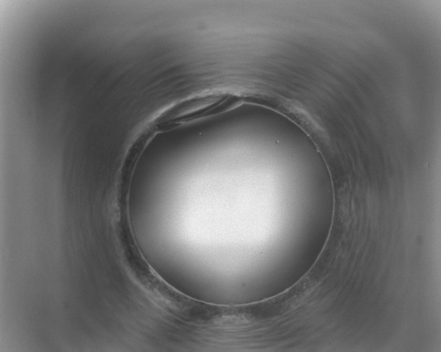 X0000069360536200605262001